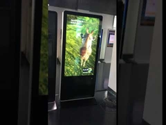 চশমা-মুক্ত ডিজিটাল সাইনেজ